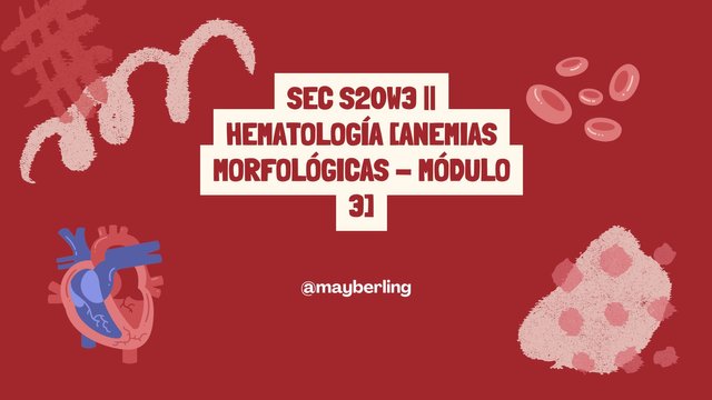 SEC S20W3  Hematología [Anemias Morfológicas - Módulo 3].jpg